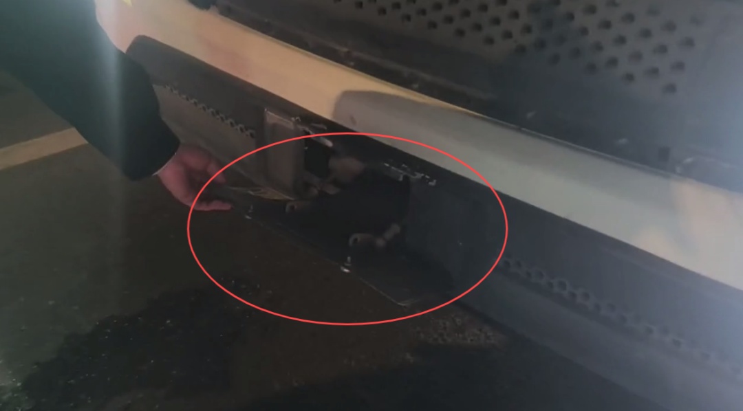 “时隐时现”的号牌,原来是因为…… “时隐时现”的号牌,原来是因为……