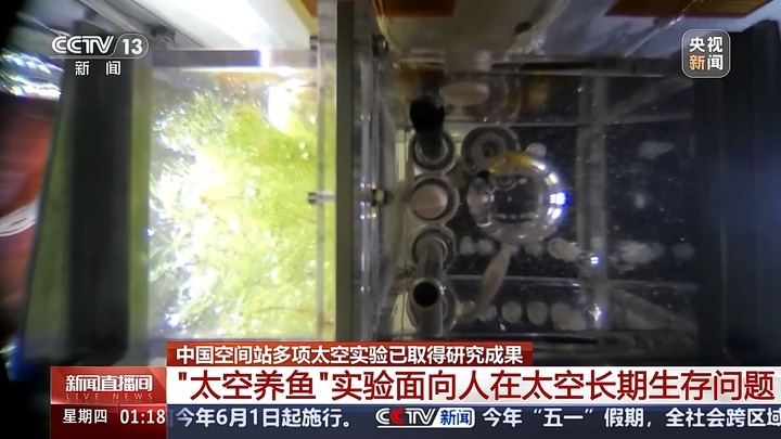 中国空间站多项太空实验已取得成果 未来将陆续开展千余项研究