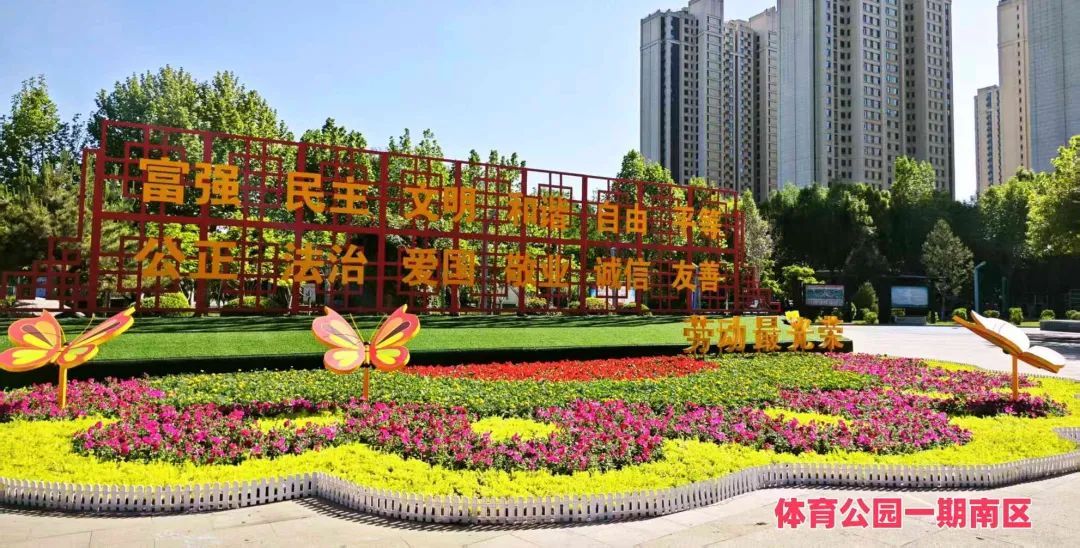 本文“含花量”100%！石家庄赏花攻略来啦~