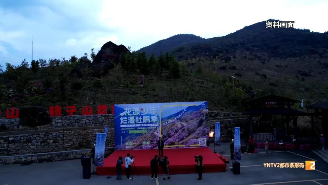 难得见的“一山两景” ！山顶雪花纷飞、山腰杜鹃盛开，五一去玩吗？