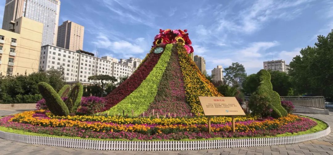 本文“含花量”100%！石家庄赏花攻略来啦~