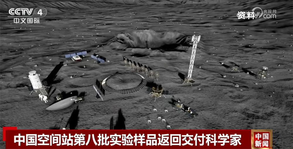 数据透视中国空间站第八批空间科学实验“硕果累累” 果蝇实现“四世同堂” 数据透视中国空间站第八批空间科学实验“硕果累累” 果蝇实现“四世同堂”