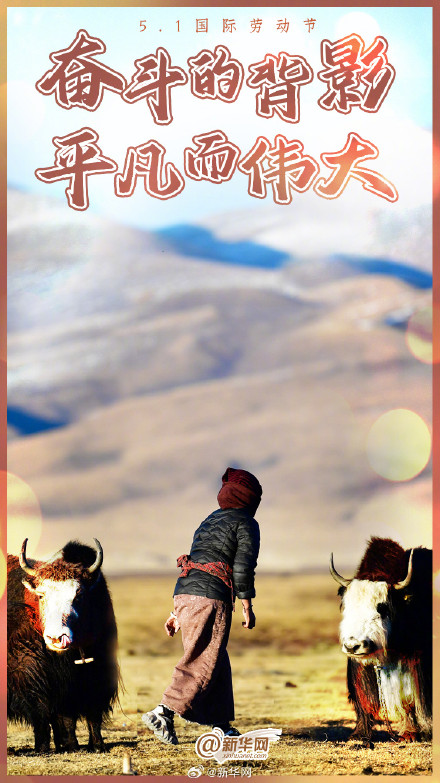 他们的背影如此耀眼！