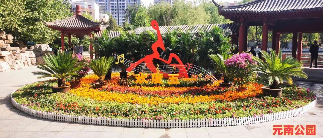 本文“含花量”100%！石家庄赏花攻略来啦~