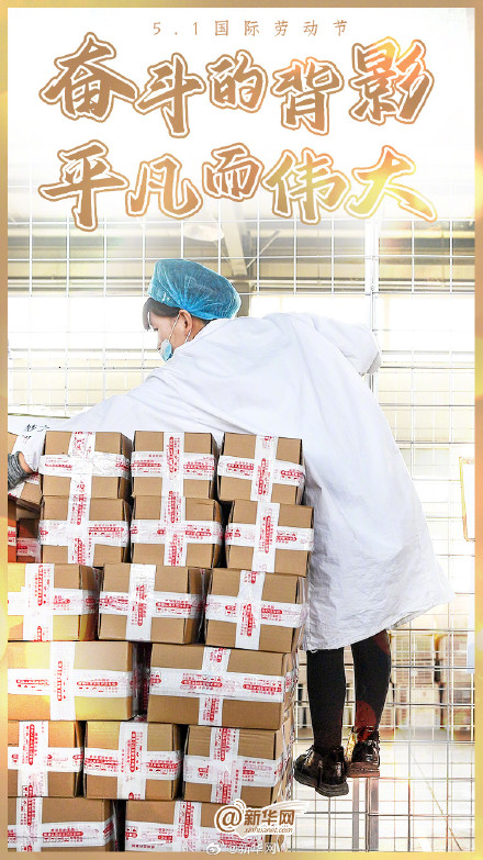 他们的背影如此耀眼！