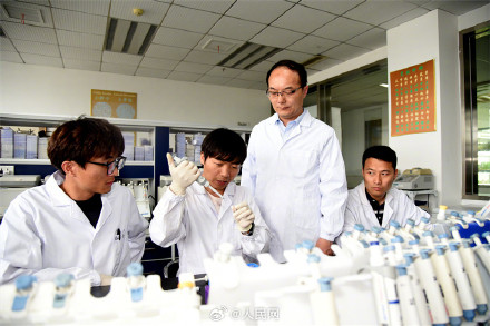 我国发现破解水稻抗高温基因开关 我国发现破解水稻抗高温基因开关