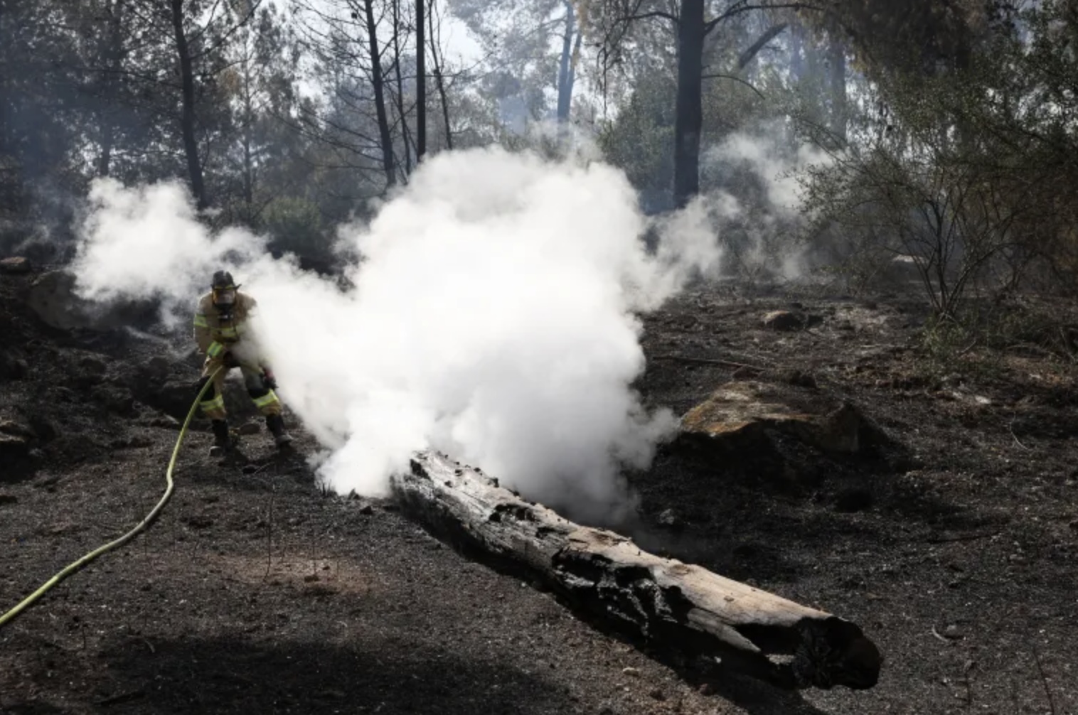 耶路撒冷山火持续 18人因涉嫌纵火被捕