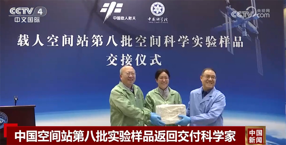 数据透视中国空间站第八批空间科学实验“硕果累累” 果蝇实现“四世同堂” 数据透视中国空间站第八批空间科学实验“硕果累累” 果蝇实现“四世同堂”