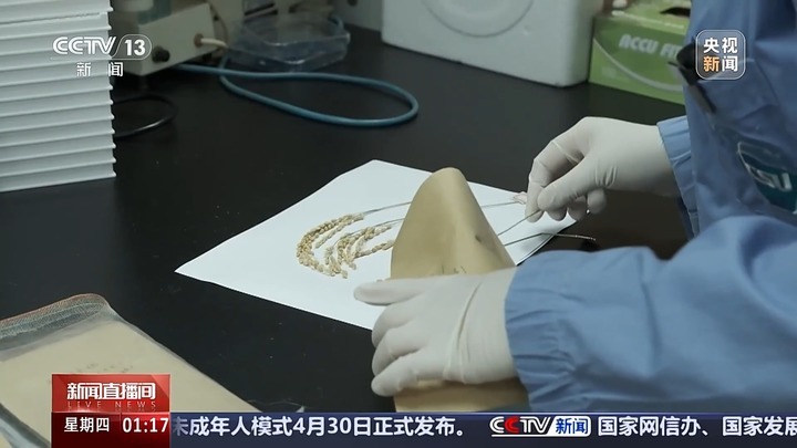 中国空间站多项太空实验已取得成果 未来将陆续开展千余项研究