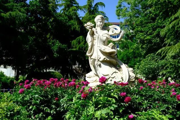 本文“含花量”100%！石家庄赏花攻略来啦~