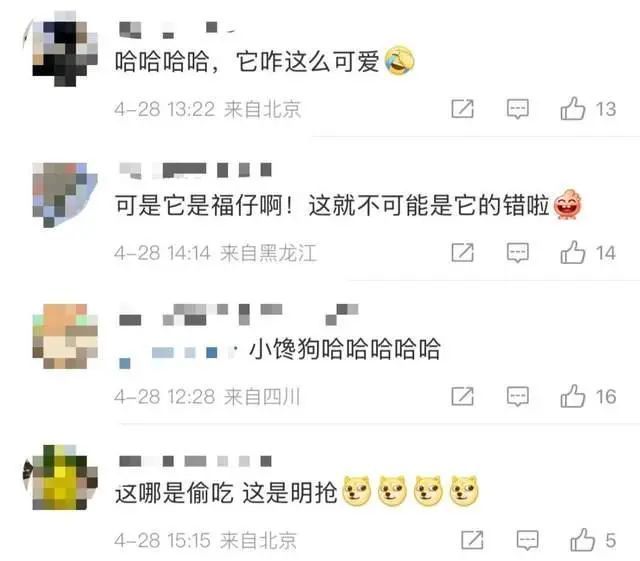 “抢夺小朋友烤肠”，柯基警犬“福仔”被通报批评！后续来了