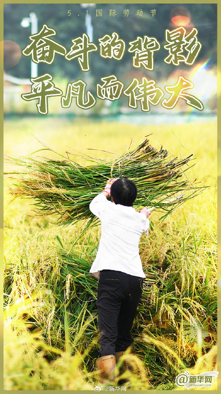 他们的背影如此耀眼！