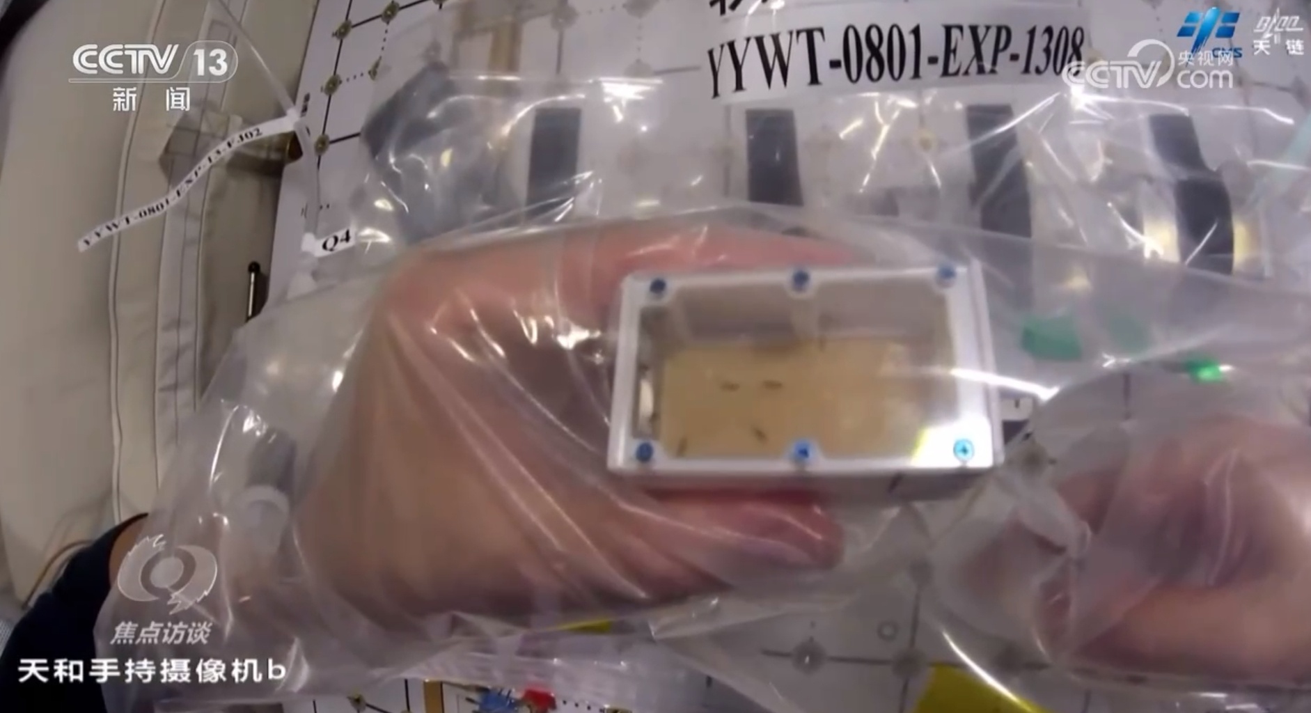 从“短期驻留”到“长期稳定运行” 回望中国空间站四年成长路 从“短期驻留”到“长期稳定运行” 回望中国空间站四年成长路