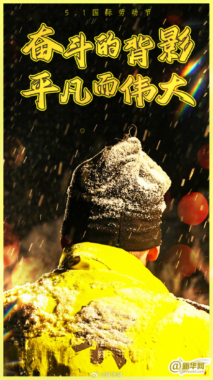 他们的背影如此耀眼！