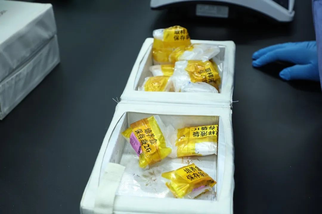 37.25公斤!神舟十九号带回 37.25公斤!神舟十九号带回