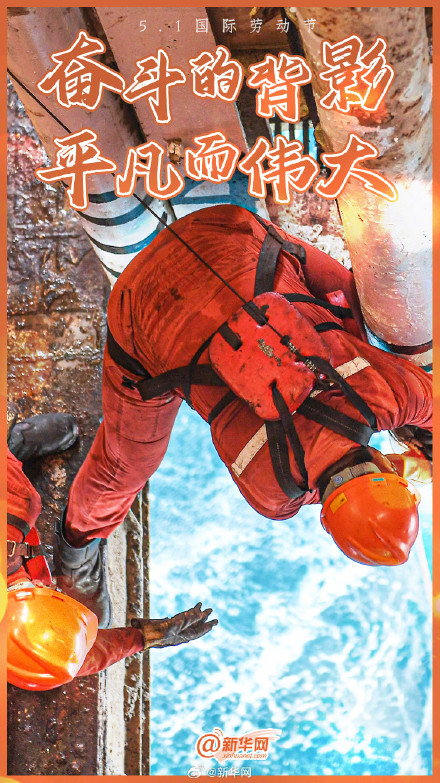 他们的背影如此耀眼！