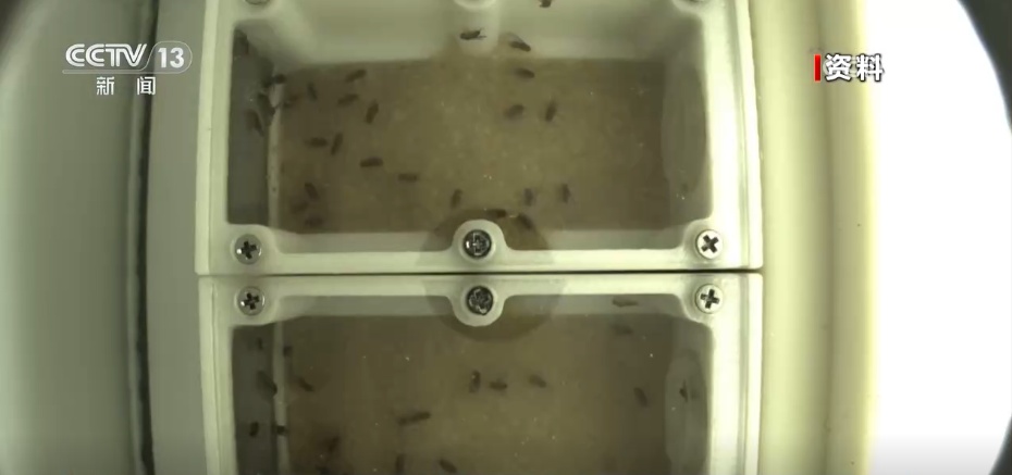 这些“太空特产”从中国空间站而来 期待科学家破解更多“生命之谜”