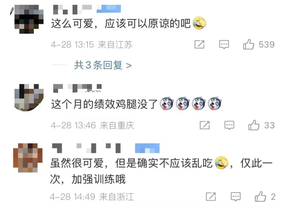 冲上热搜！柯基警犬抢小朋友烤肠，被通报批评并登门道歉