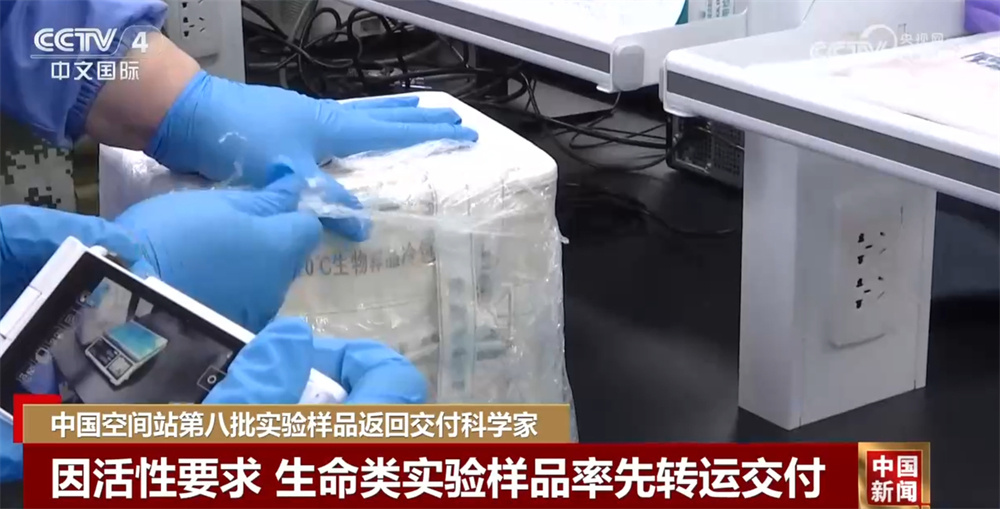 数据透视中国空间站第八批空间科学实验“硕果累累” 果蝇实现“四世同堂” 数据透视中国空间站第八批空间科学实验“硕果累累” 果蝇实现“四世同堂”