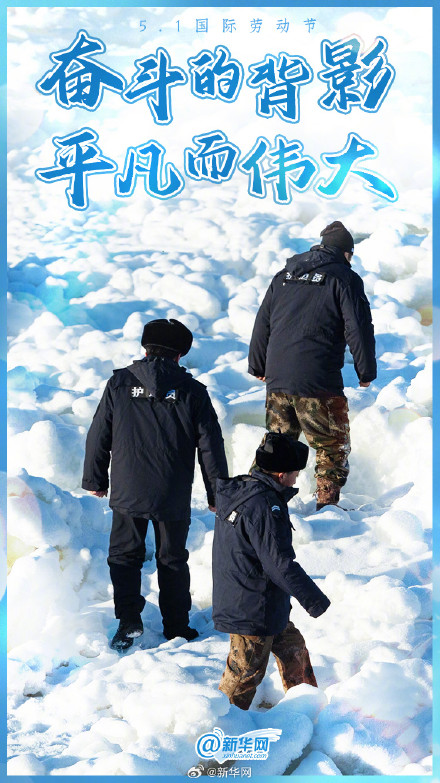 他们的背影如此耀眼！