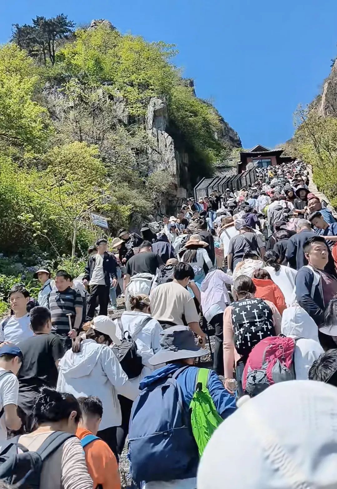 泰山陪爬忙疯了也赚疯了！陪爬团队：游客太多，一天爬两三趟，预约排到5月10日了