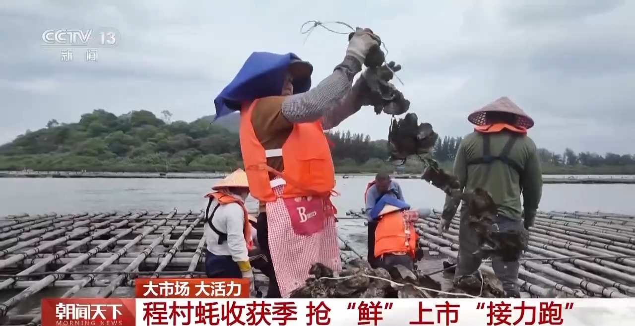 大市场 大活力丨“五一”假日餐桌海鲜热度揭秘 生蚝如何抢“鲜”出发? 大市场 大活力丨“五一”假日餐桌海鲜热度揭秘 生蚝如何抢“鲜”出发?