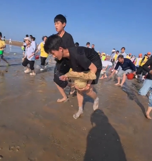 都不能白来！日照景区给赶海游客撒蛤蜊，疯狂“宠粉”