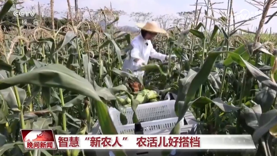 智能小车、外骨骼装备、采茶机器人 科技助力让农活儿变得更轻松 智能小车、外骨骼装备、采茶机器人 科技助力让农活儿变得更轻松