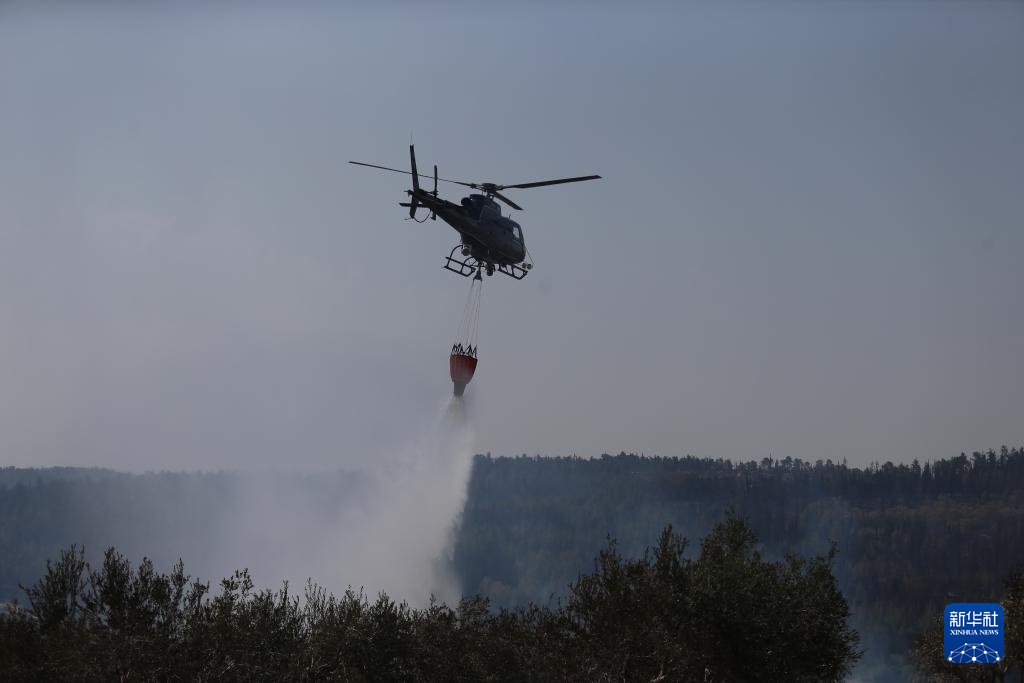 耶路撒冷山火得到控制