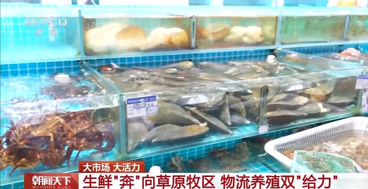 大市场 大活力丨“五一”假日餐桌海鲜热度揭秘 生蚝如何抢“鲜”出发? 大市场 大活力丨“五一”假日餐桌海鲜热度揭秘 生蚝如何抢“鲜”出发?