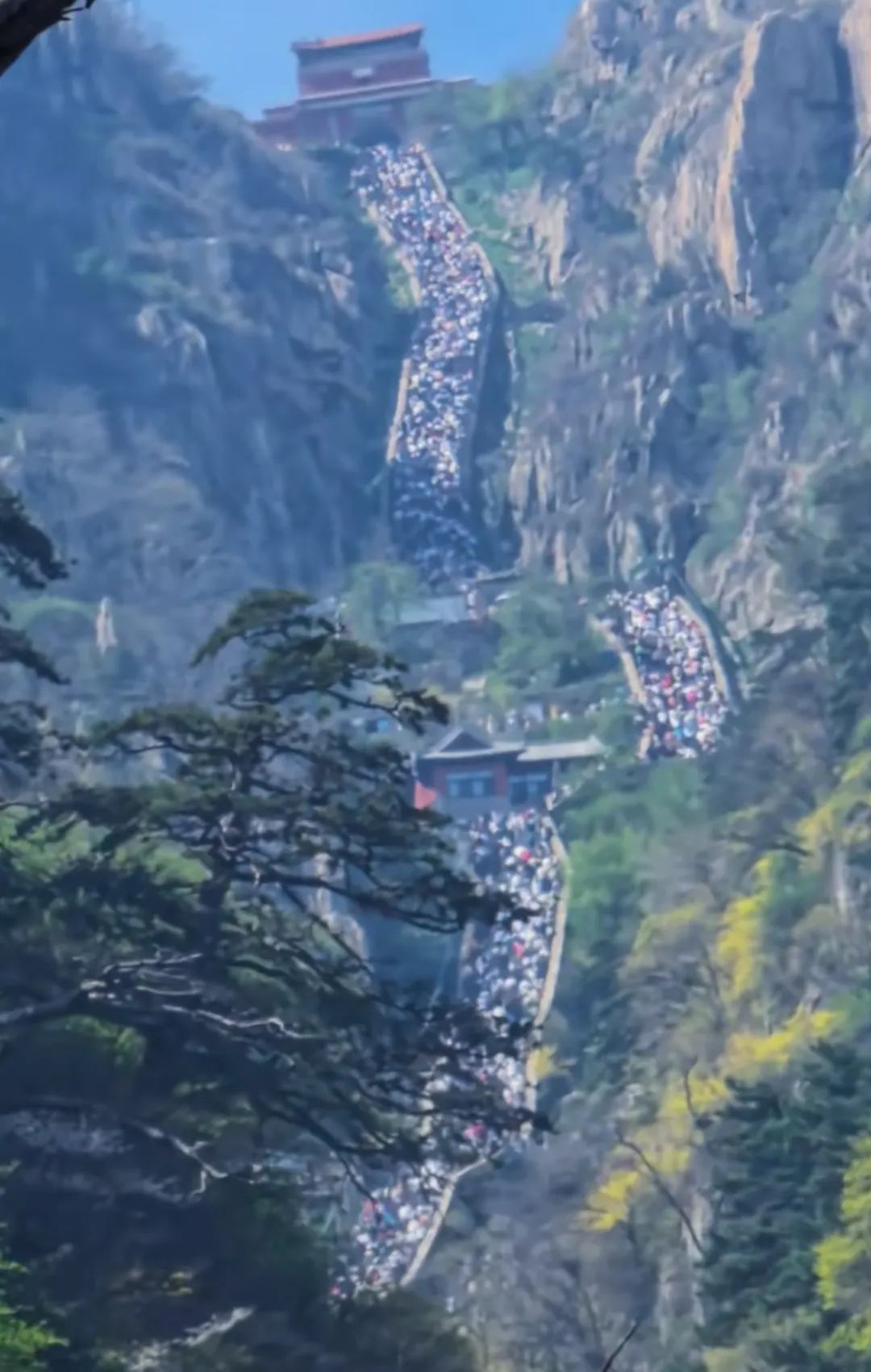 泰山陪爬忙疯了也赚疯了！陪爬团队：游客太多，一天爬两三趟，预约排到5月10日了