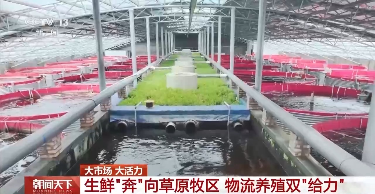 大市场 大活力丨“五一”假日餐桌海鲜热度揭秘 生蚝如何抢“鲜”出发? 大市场 大活力丨“五一”假日餐桌海鲜热度揭秘 生蚝如何抢“鲜”出发?