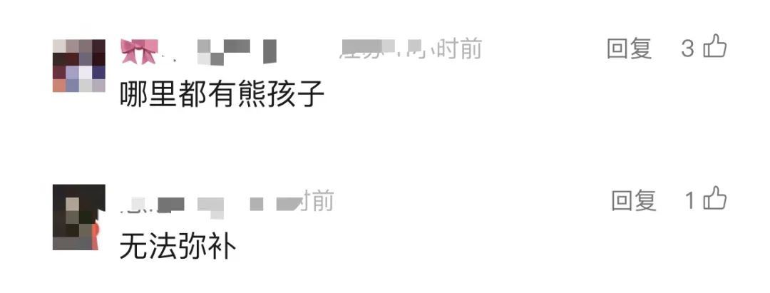 价值4.1亿元名画，被小孩划花了！官方回应