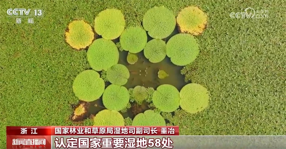 数说国家湿地公园创建20周年“成绩单” “生态+旅游”拓展发展新空间