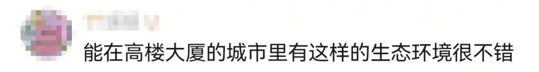 密密麻麻，近期高发！一不留神就中招，广州也有......