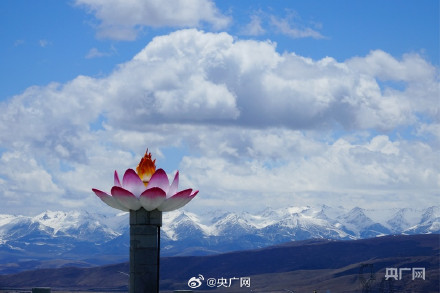 青海门源云海雪山同框好震撼 青海门源云海雪山同框好震撼