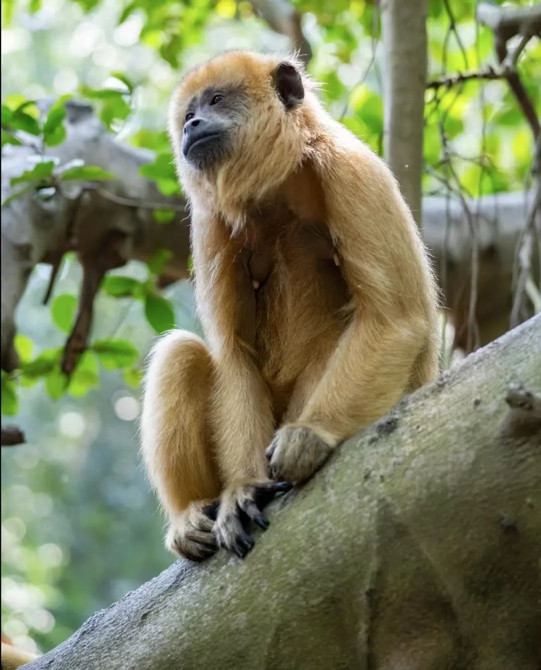 “五一”假期首日，广东4A级及以上景区接待游客323.8万人次