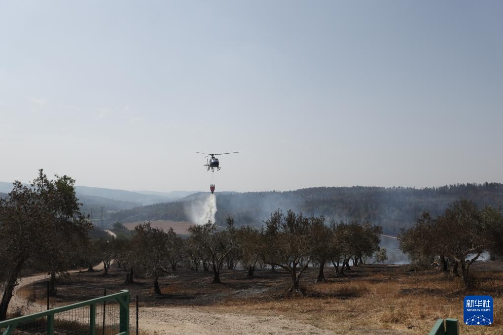 耶路撒冷山火得到控制