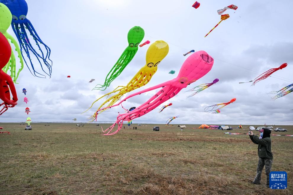 走，去草原上放风筝