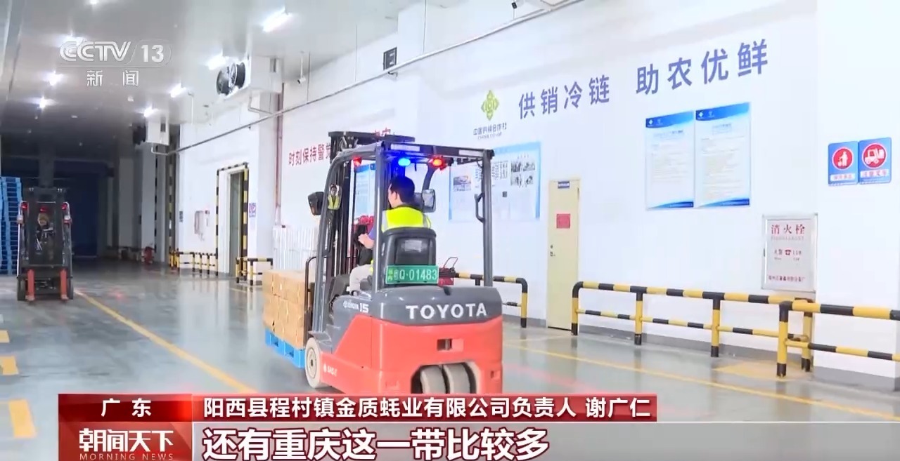 大市场 大活力丨“五一”假日餐桌海鲜热度揭秘 生蚝如何抢“鲜”出发? 大市场 大活力丨“五一”假日餐桌海鲜热度揭秘 生蚝如何抢“鲜”出发?