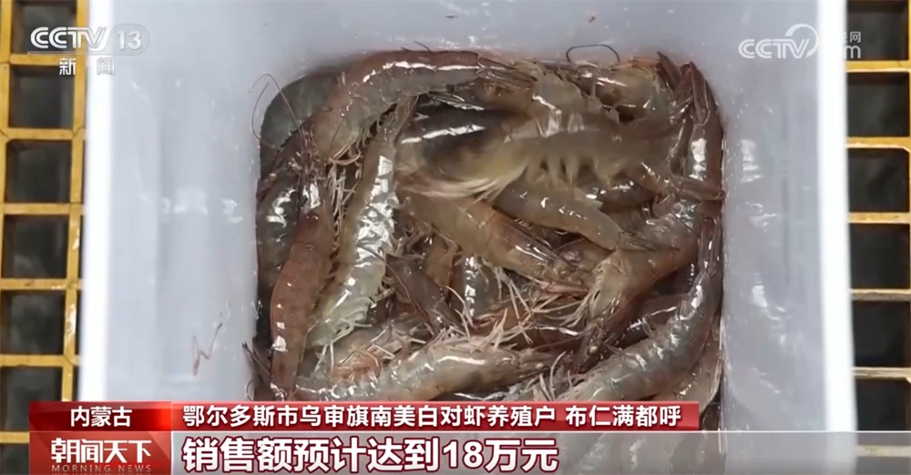 物流、养殖双“给力” 为假日海鲜抢“鲜”上市按下“加速键”