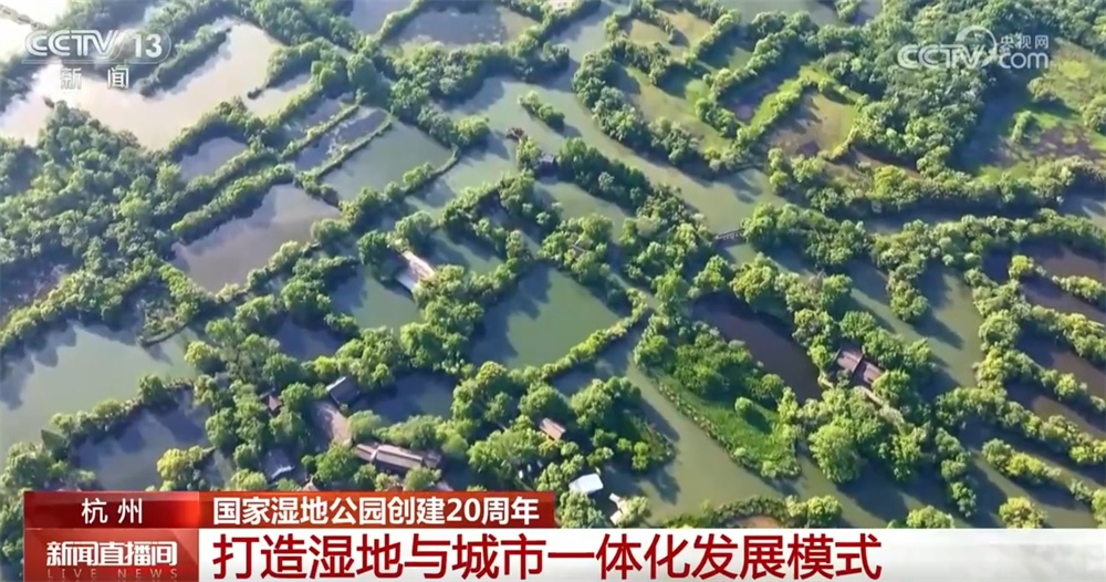 数说国家湿地公园创建20周年“成绩单” “生态+旅游”拓展发展新空间