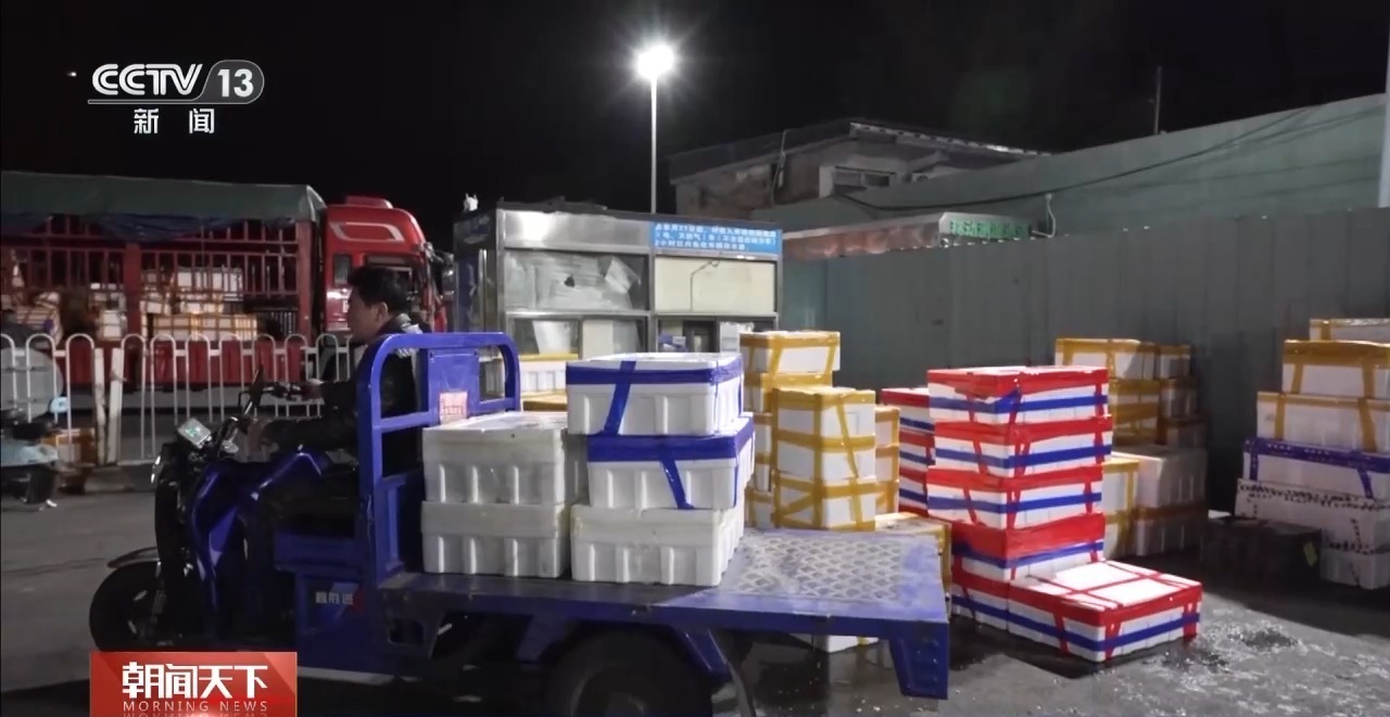 大市场 大活力丨“五一”假日餐桌海鲜热度揭秘 生蚝如何抢“鲜”出发? 大市场 大活力丨“五一”假日餐桌海鲜热度揭秘 生蚝如何抢“鲜”出发?