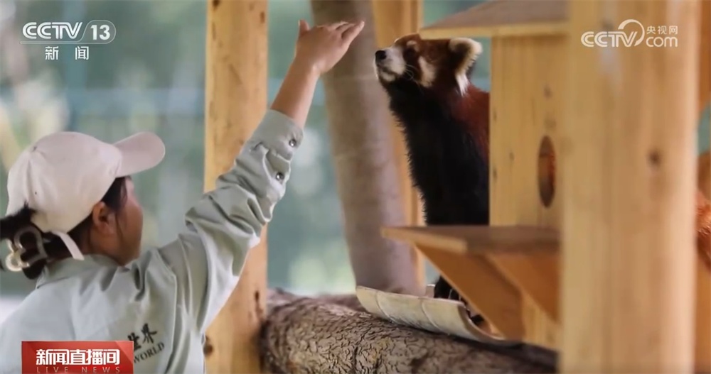 “生态游”“乡村游”“研学游”……文旅市场“百花齐放” 开启沉浸式新体验 “生态游”“乡村游”“研学游”……文旅市场“百花齐放” 开启沉浸式新体验