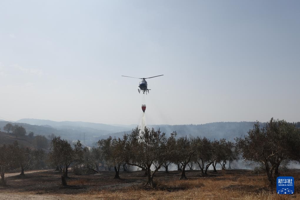 耶路撒冷山火得到控制
