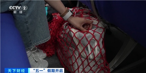 多家航司推出宠物进客舱服务 多家航司推出宠物进客舱服务