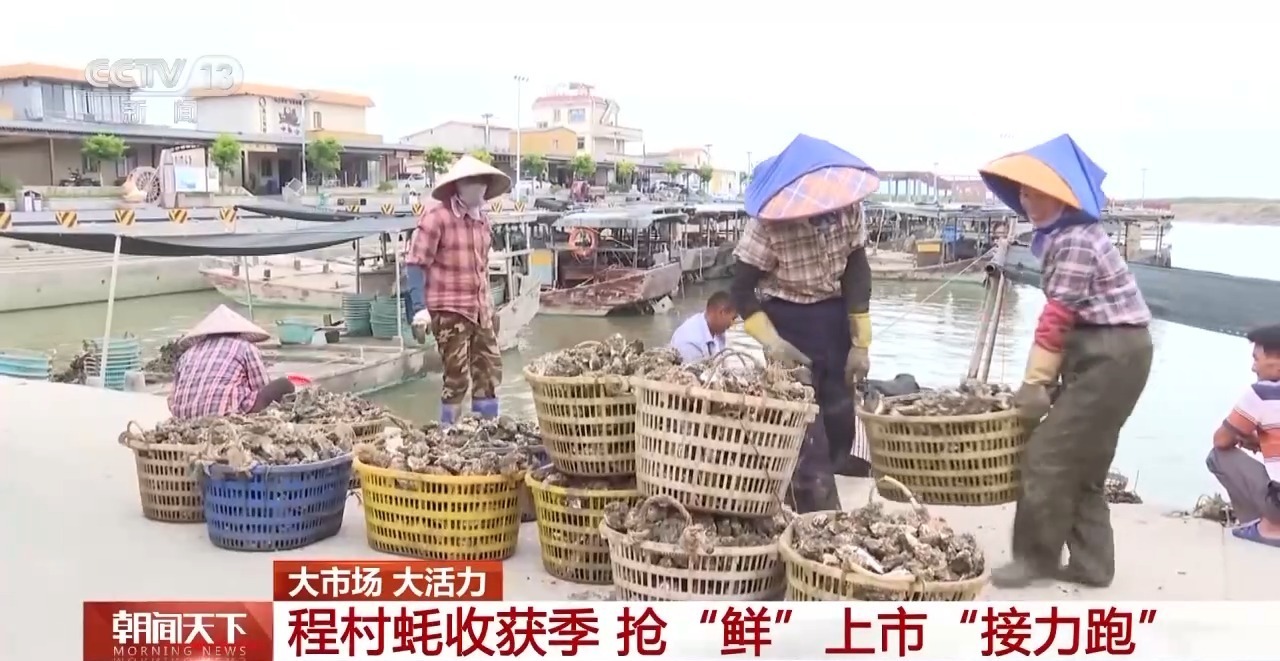 大市场 大活力丨“五一”假日餐桌海鲜热度揭秘 生蚝如何抢“鲜”出发? 大市场 大活力丨“五一”假日餐桌海鲜热度揭秘 生蚝如何抢“鲜”出发?