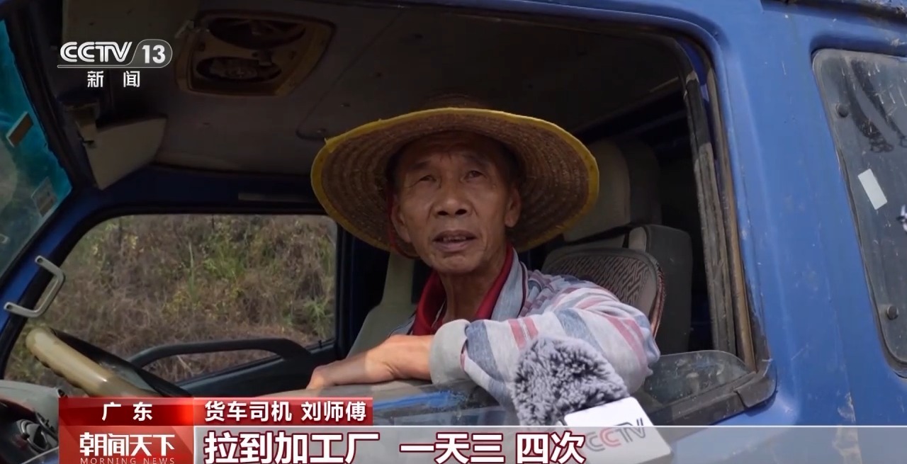 大市场 大活力丨“五一”假日餐桌海鲜热度揭秘 生蚝如何抢“鲜”出发? 大市场 大活力丨“五一”假日餐桌海鲜热度揭秘 生蚝如何抢“鲜”出发?