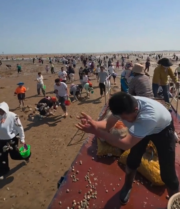 都不能白来！日照景区给赶海游客撒蛤蜊，疯狂“宠粉”