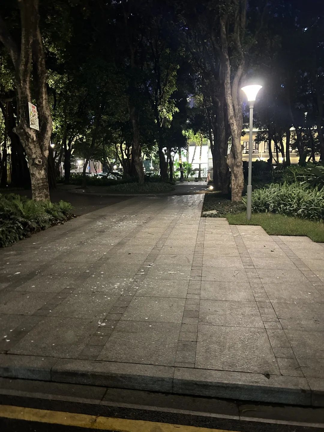 密密麻麻，近期高发！一不留神就中招，广州也有......